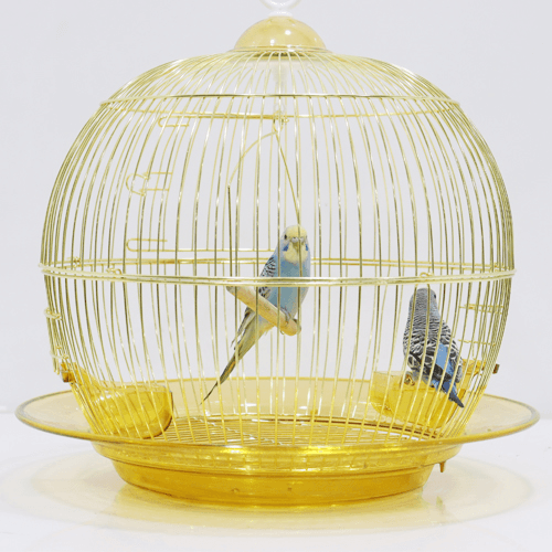 Golden Cage With Decorative Birds No.3281