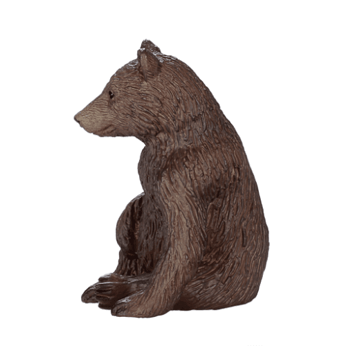 Grizzly Bear Cub