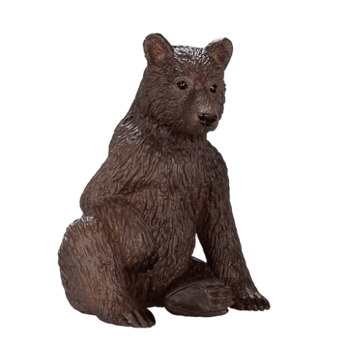 Grizzly Bear Cub