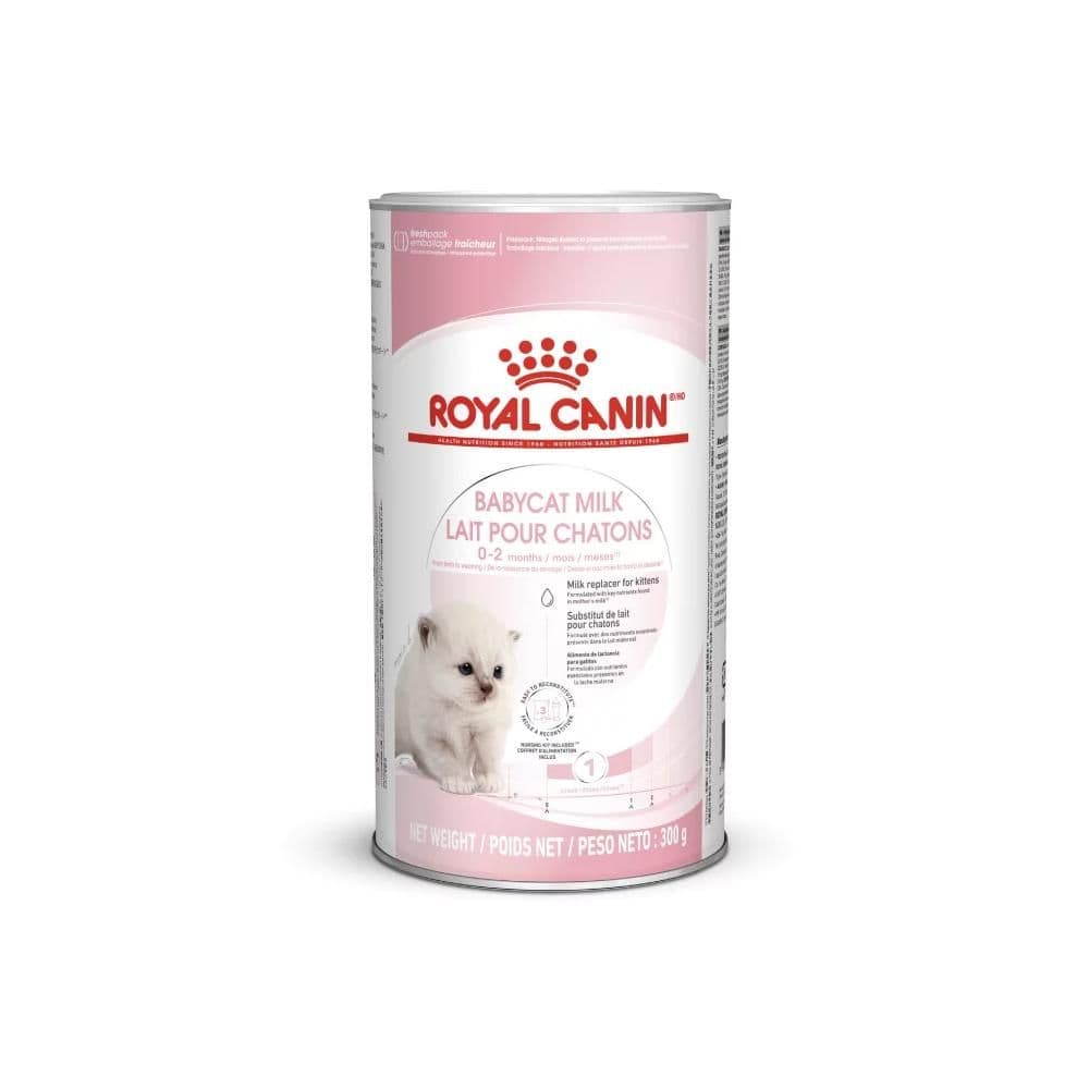 Royal Canin: Feline Health Nutrition Babycat Milk - 300G