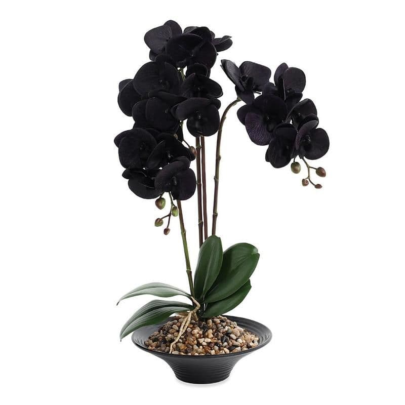 Lizz Flower Arrangement, Black - 55Cm