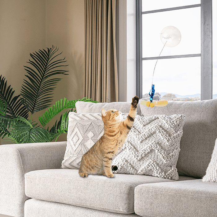 Afp Chase Me Dragonfly Cat Toy