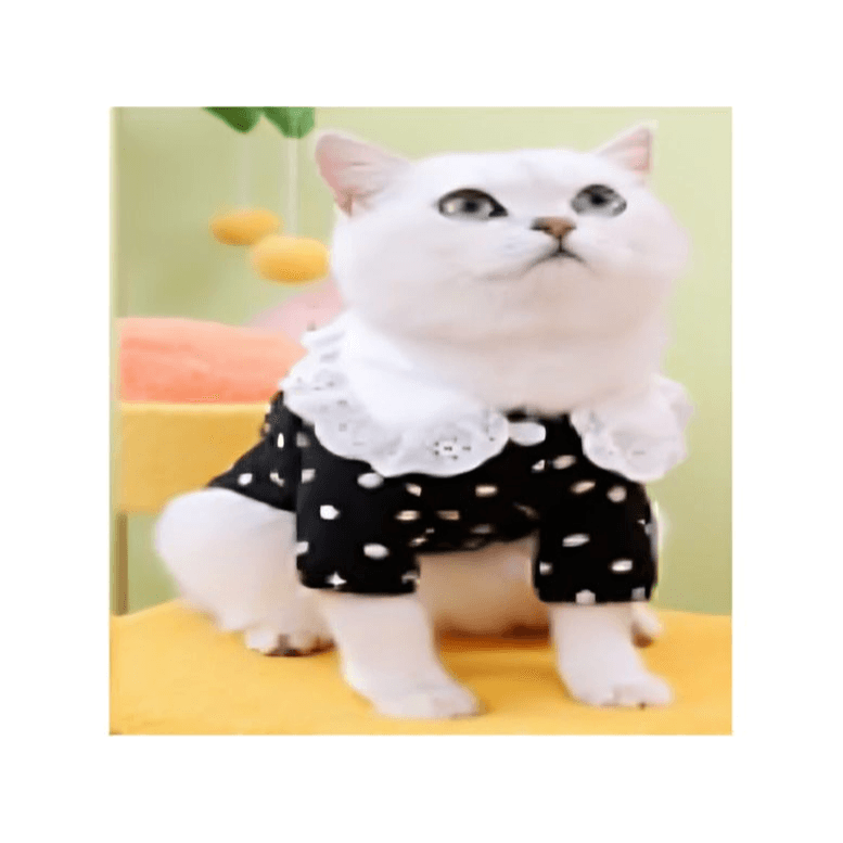 Polka Dot Black Cat Clothes (L)