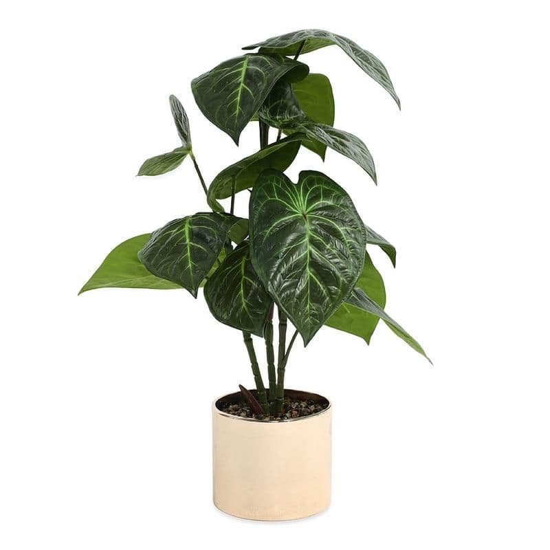 Arian Plant Arrangement, Green - 50Cm