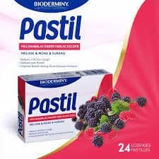 Pastil Lozenges Blackberry 24S