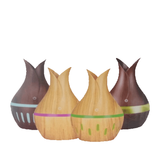 Mist Humidifier  (Buy 1 Get 1 Free)