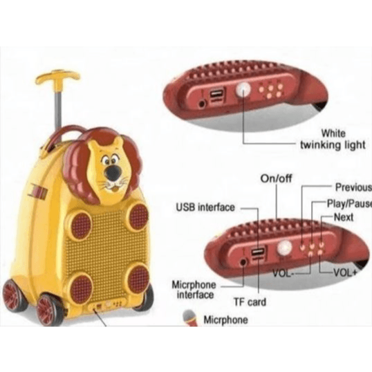 Travel Bag With Music Set & Mic