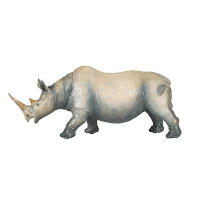 National Geographic Wildlife Rhinoceros